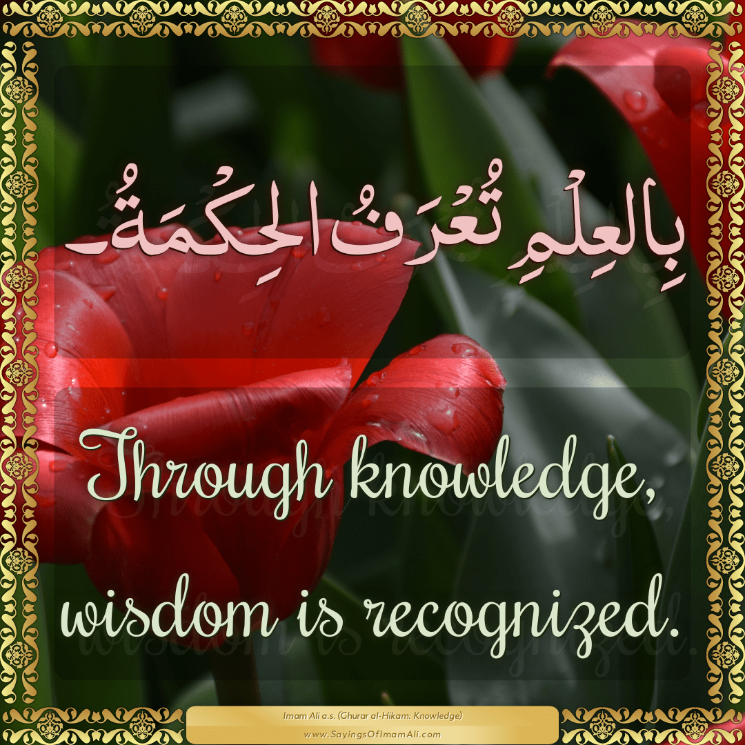 Through knowledge, wisdom is recognized.